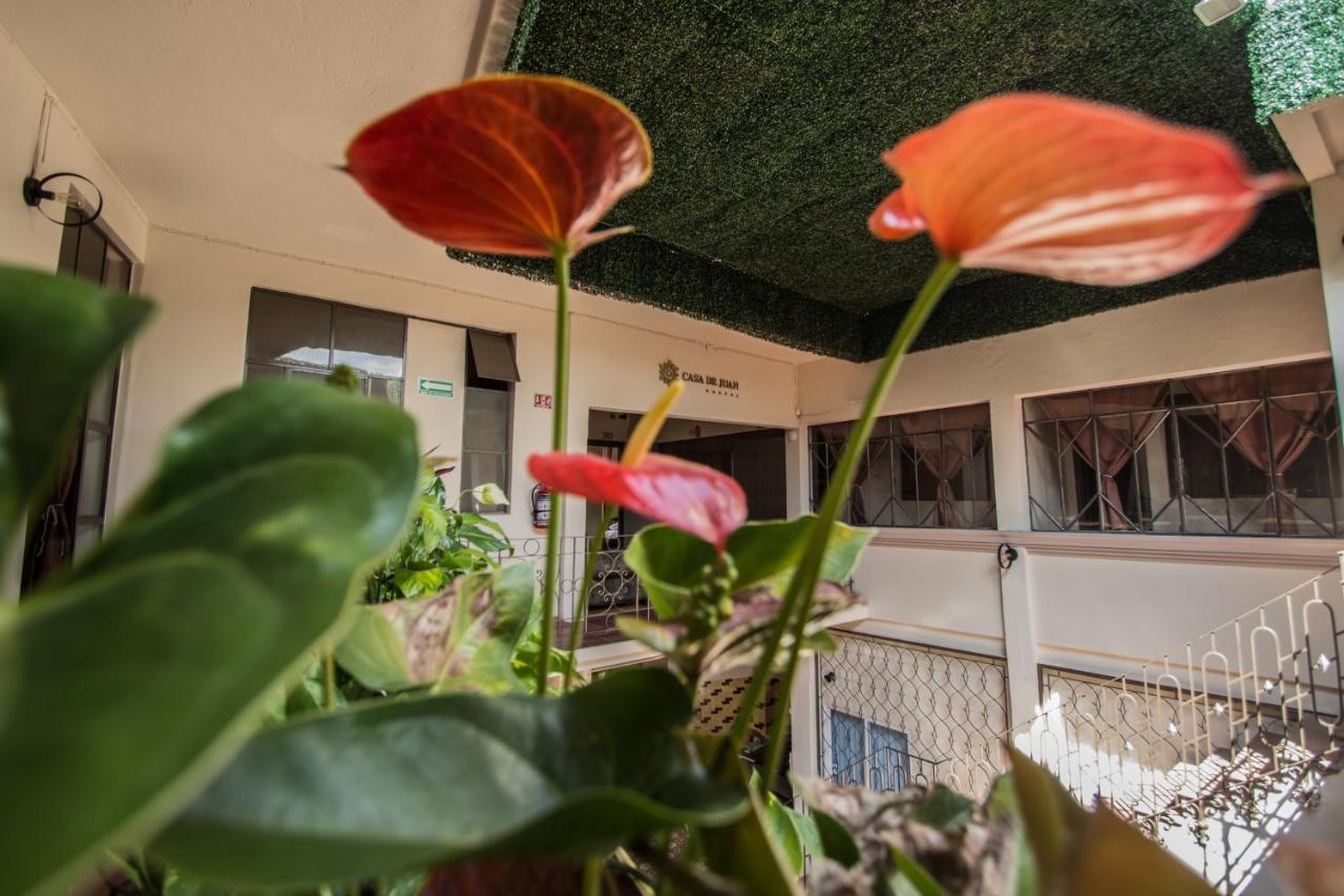 Casa De Juan Hostal 贾拉普 外观 照片